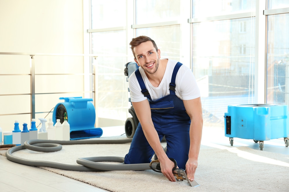 Dry,Cleaner's,Employee,Removing,Dirt,From,Carpet,In,Flat