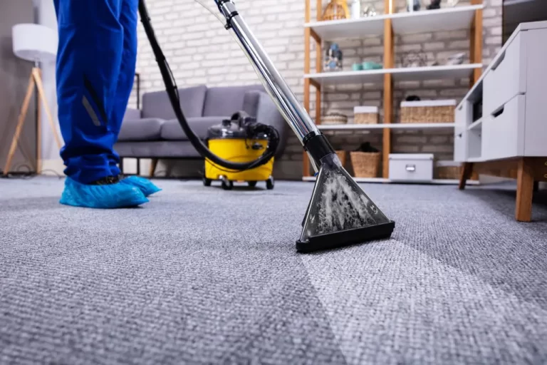 Carpet Steam Cleaning Panania